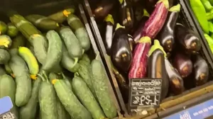 IviRoses – Fucked Cucumber Left in Supermarket